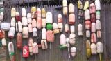 Buoys in Westhampton