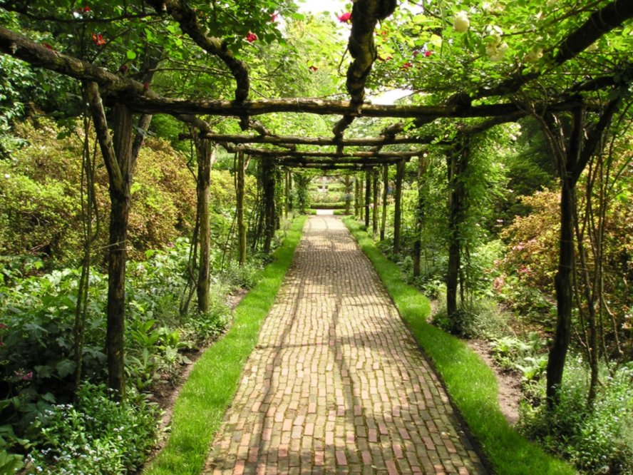 Rose garden at the Old Westbury Gardens