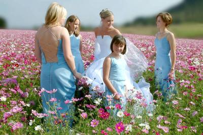 Bridal retinue in the cosmos