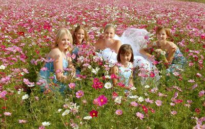 In the Cosmos at Sandstone Estates