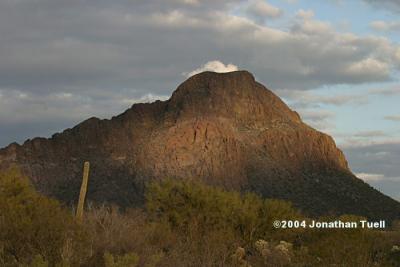 Day 8-Saguaro National Park and Arizona-Sonora Desert Museum