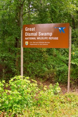 Great Dismal Swamp, VA