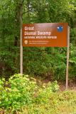 Great Dismal Swamp, VA