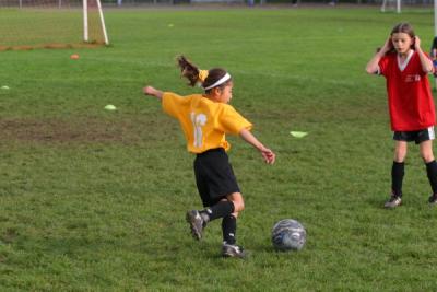 255_5600.jpg