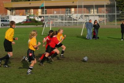 256_5632.jpg