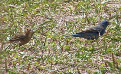 04-22-04 happy couple.jpg