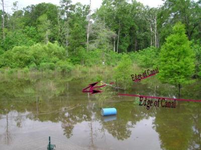 05-15-04 yardpic2.jpg
