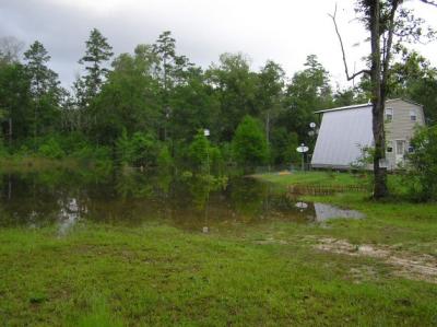 05-16-04 yardpic1.jpg