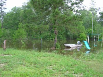 05-16-04 yardpic2.jpg