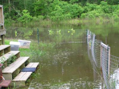 05-16-04 yardpic3.jpg
