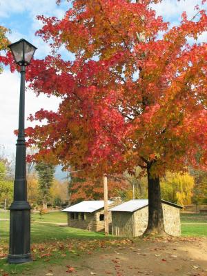 Park along Ovens River