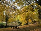 Park along the Ovens River