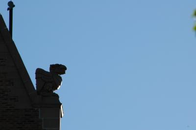 gargoyle from street