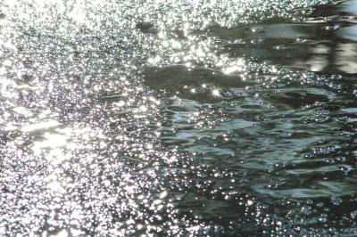 water on sidewalk