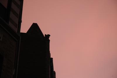 evening sky and gargoyle