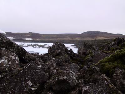 IMG_0493.jpg