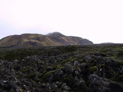 IMG_0503.jpg