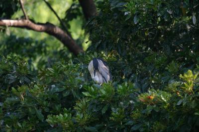 u45/tomokon/medium/29466656.IMG_0028.jpg