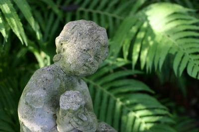 Garden in the Evening