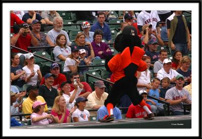 The Oriole mascot had his hands full with Boston fans who essentially took over Oriole Park for the weekend. A full 70% of fans at the game were visiting from Boston.