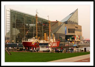 The National Aquarium at the Inner Harbor of Baltimore, Maryland.