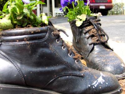 shoes for plants.jpg