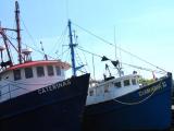 gloucester lobster boats.jpg