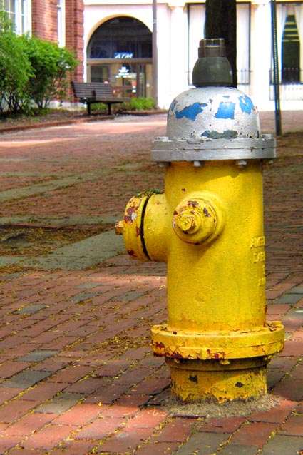 fire thingie.jpg