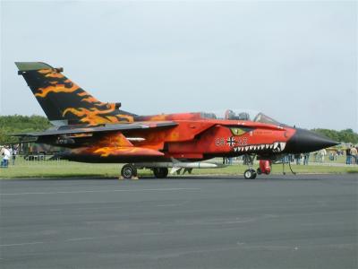 ehgr-dragon-050702.jpg