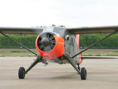 1024-beaver-2.jpg