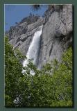 Yosemite Falls Thru The Trees