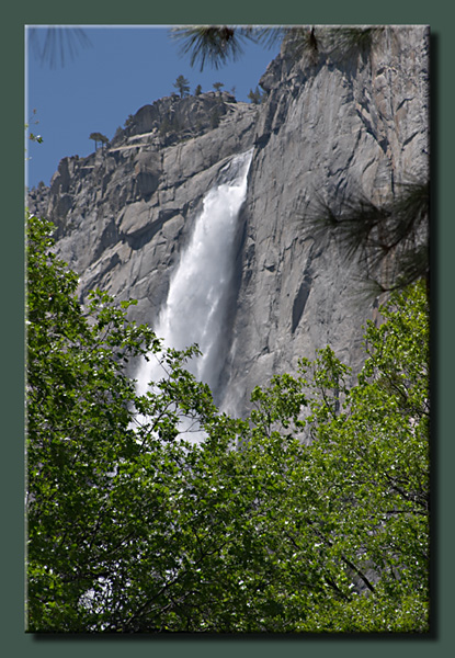 Yosemite Falls Thru The Trees