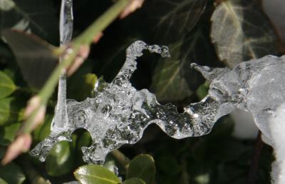 dragon head in ice