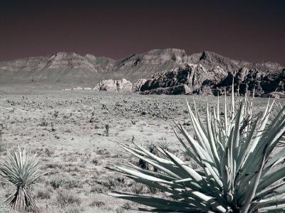 Red Rock Canyon, Las Vegas-7