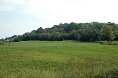 DSC_1895.jpg