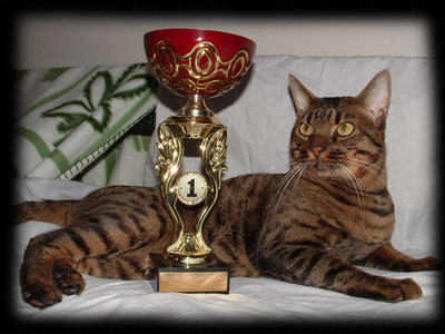 OCC=Best Clubcat &1 st Best Adult kat.lll  2003