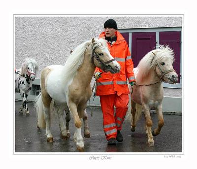Ponies