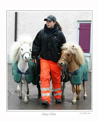 Ponies