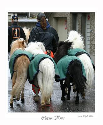 Ponies