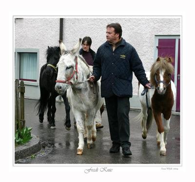 Fredy Knie mit Pony und Zwerg-Esel