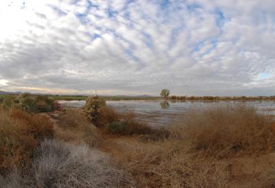 Wetland