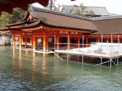 One of the many typhoons that hit Japan this summer did some damage to the shrine, unfortunately, hence the scaffolding