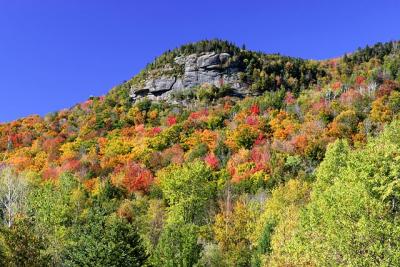 hillside.jpg