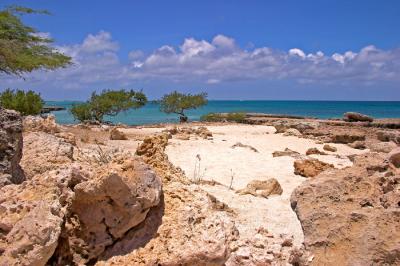 Beach - 4