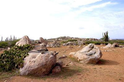 Northeast Coast - 2
