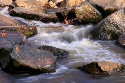 French Creek - 2