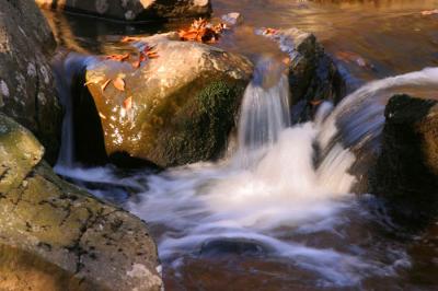 French Creek - 8