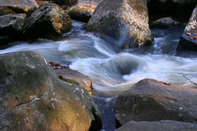 French Creek - 11