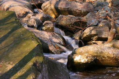 French Creek - 5