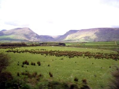 Dingle area from bus window